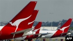 Máy bay của Hãng Hàng Không Qantas đậu tại sân bay Sydney