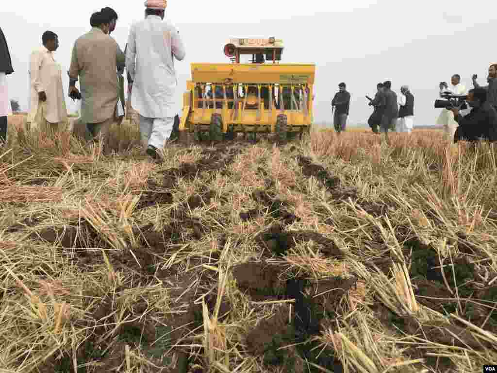 رائس چاپر کے ذریعے دھان کی باقیات کو پہلے کاٹا جاتا ہے اور&nbsp;دوسری مشین کے ذریعے اسی وقت زمین میں گندم کی بوائی کی جا سکتی ہے۔