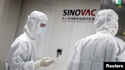 Nhân viên làm việc trong phòng thí nghiệm của công ty sản xuất vaccine Trung Quốc Sinovac Biotech.